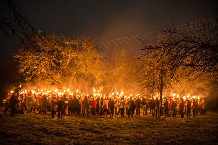 Fertilefibre's tweet photo. What a fabulous evening we had last week when we went Wassailing at @WestonsCiderMil with the Silurian Morris Men, supporting @StMichaelsHosp

The torches were made using Coir from FertileFibre looked absolutely fantastic! 🔥

#coir #FertileFibre #westonscider #blessthetrees https://t.co/YOjk7pPt6t