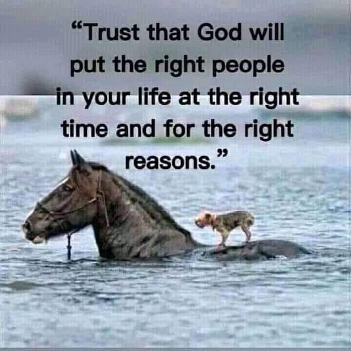 PossDoug's tweet photo. @Patrici15767099 Blessings, good health, congratulations, Patricia 🙏🏼 LORD God, graciously cause us to be #WiseAsSerpents #HarmlessAsDoves proclaiming the redeeming, atoning work of the Cross & resurrection power. Work in & through us+b’Shem Yeshua Meshikaynoo+Amen https://t.co/SjgXbtKmGy