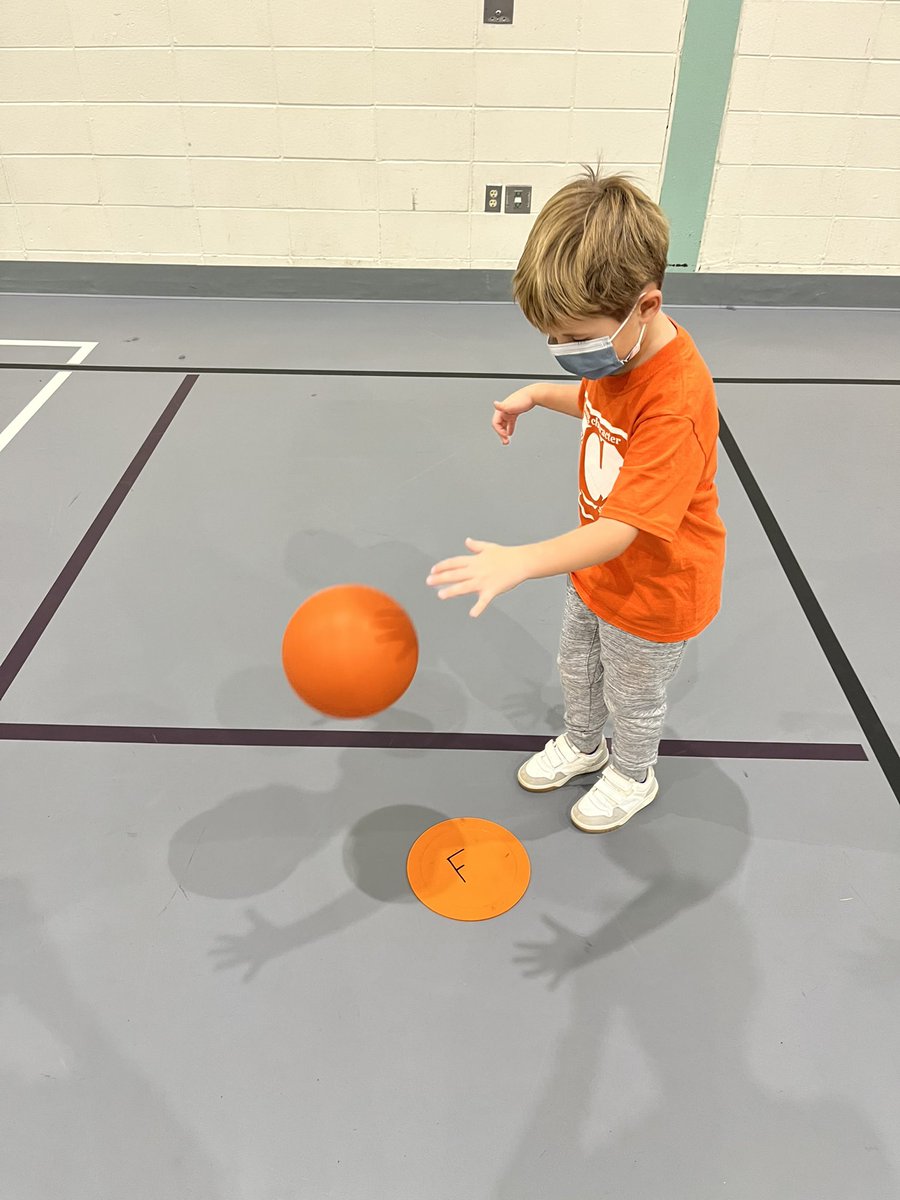 Mr. Carotenuto & Mrs. Moynihan tweet media