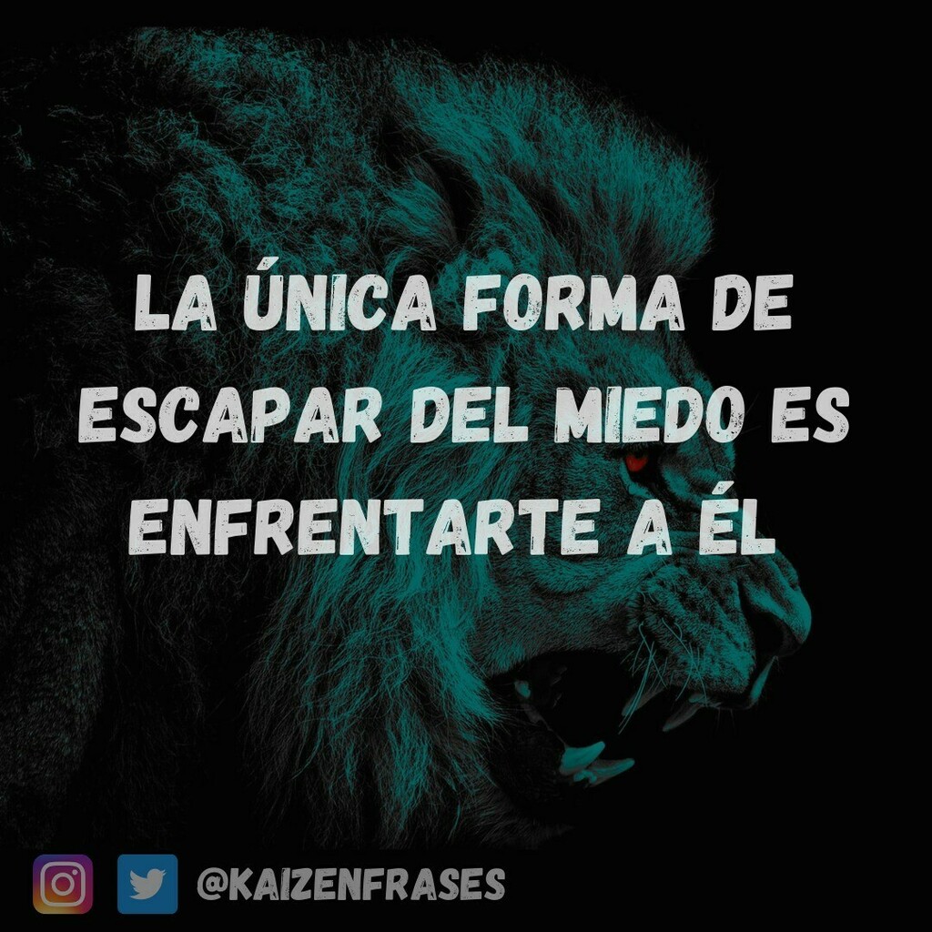 La única forma de escapar del miedo es enfrentarte a él.
#motivacion #superacion #escapar #miedo #mentalidad #minset #desarrollopersonal #kaizen