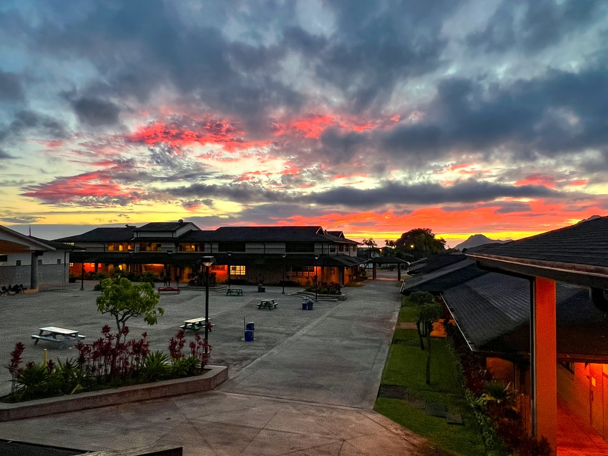 Happy Aloha Friday and Good Morning!!