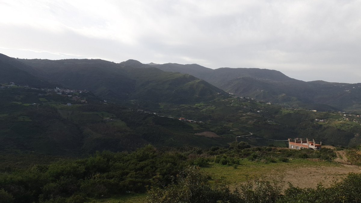 Aroubaz2's tweet photo. Répondez avec une photo que vous avez prise, et qui ne contient ni personnes ni mots. Faisons un fil de calme.😇 https://t.co/484U0ok5cT https://t.co/A8Ii3yzPUB