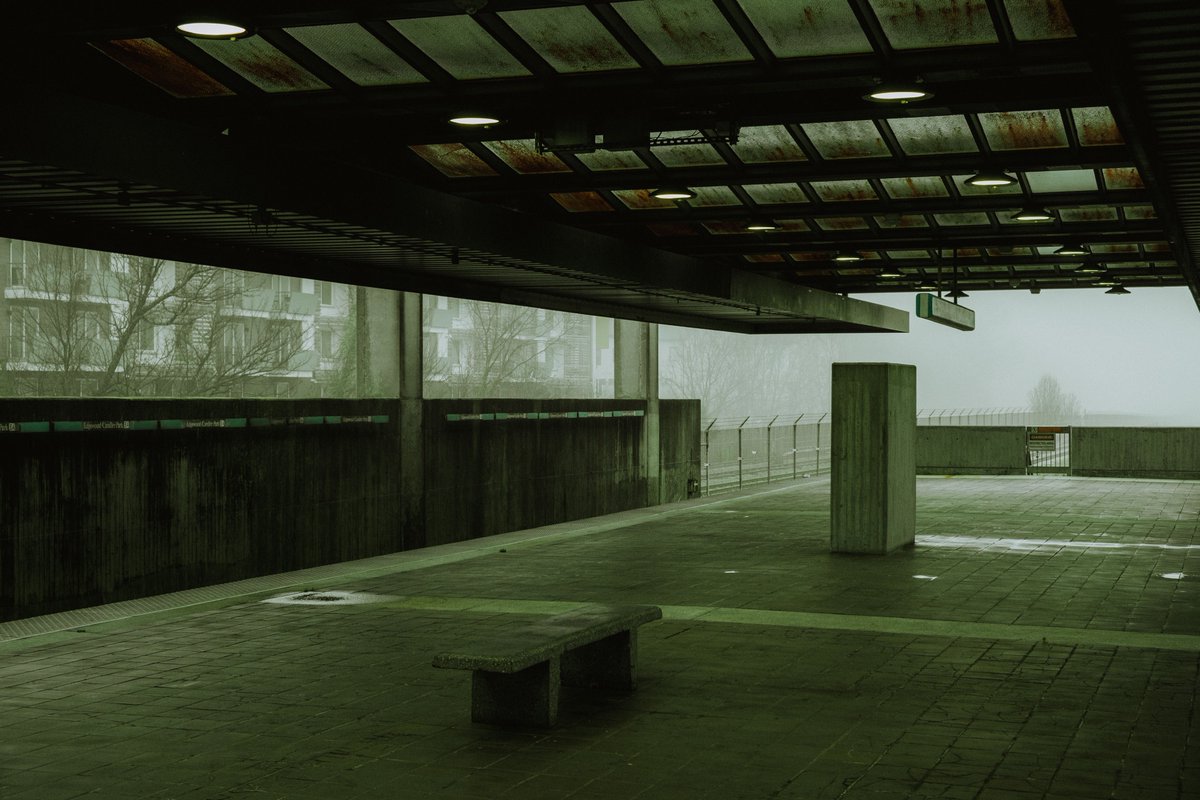 Nick D’Andria tweet media