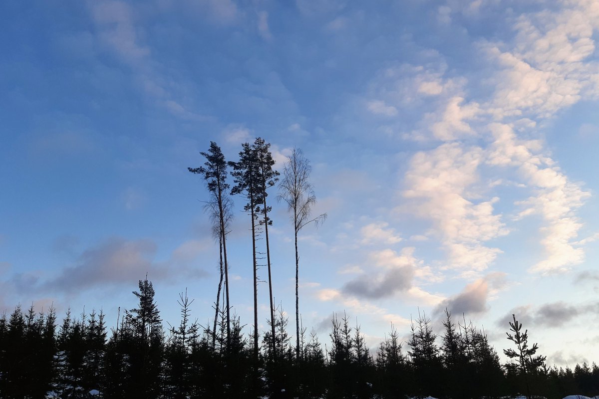 Liisarri's tweet photo. Lähes asumaton kylä ja sen hiekoittamaton #kylätie #heinävesi #potkukelkka #koronaturvassa - vai palatako pääkaupunkiseudulle? https://t.co/xajt4lu2x9