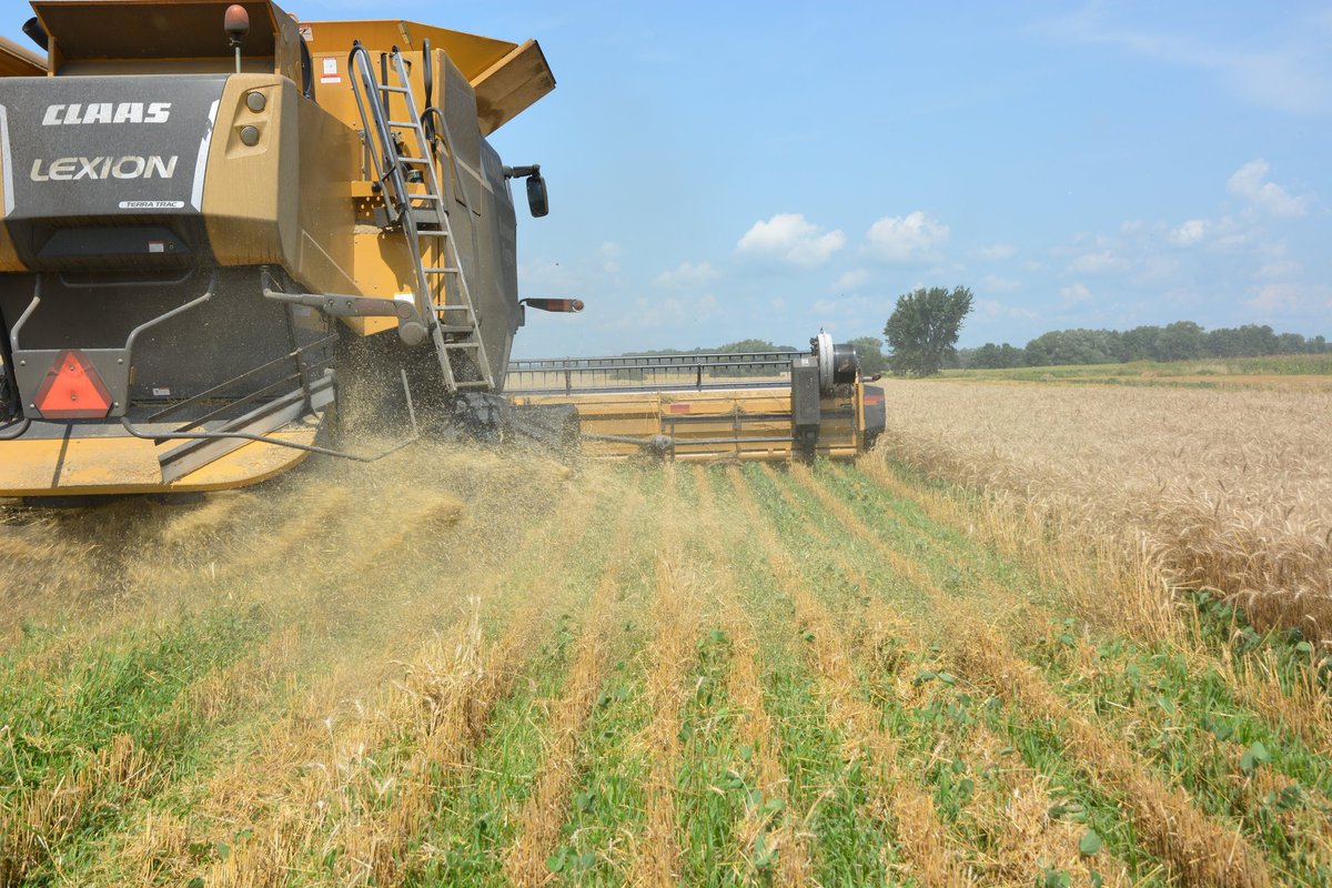 burnhamfarms's tweet photo. Selling my Claas Maxflex 1050 with the AWS Airbar. Full finger auger, upgraded to poly fingers. Sensing bands for doing wheat. Replaced all the reel bushings and knife guards 2 yrs ago. Stainless auger trough 4 yrs ago. Works well just upsizing. Dm for price and more details. https://t.co/2DcEsIIELD