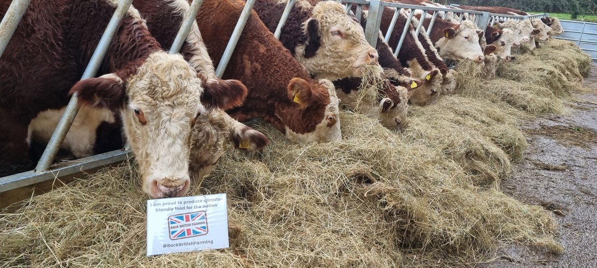 Dryslade's tweet photo. We are proud to keep the nation fed with high quality, climate-friendly produce. When you eat a balanced, seasonal diet made up of all the different food groups, you nourish your body with the nutrients and minerals that we need this time of year.
#BackBritishFarming https://t.co/zZraaYKHJg