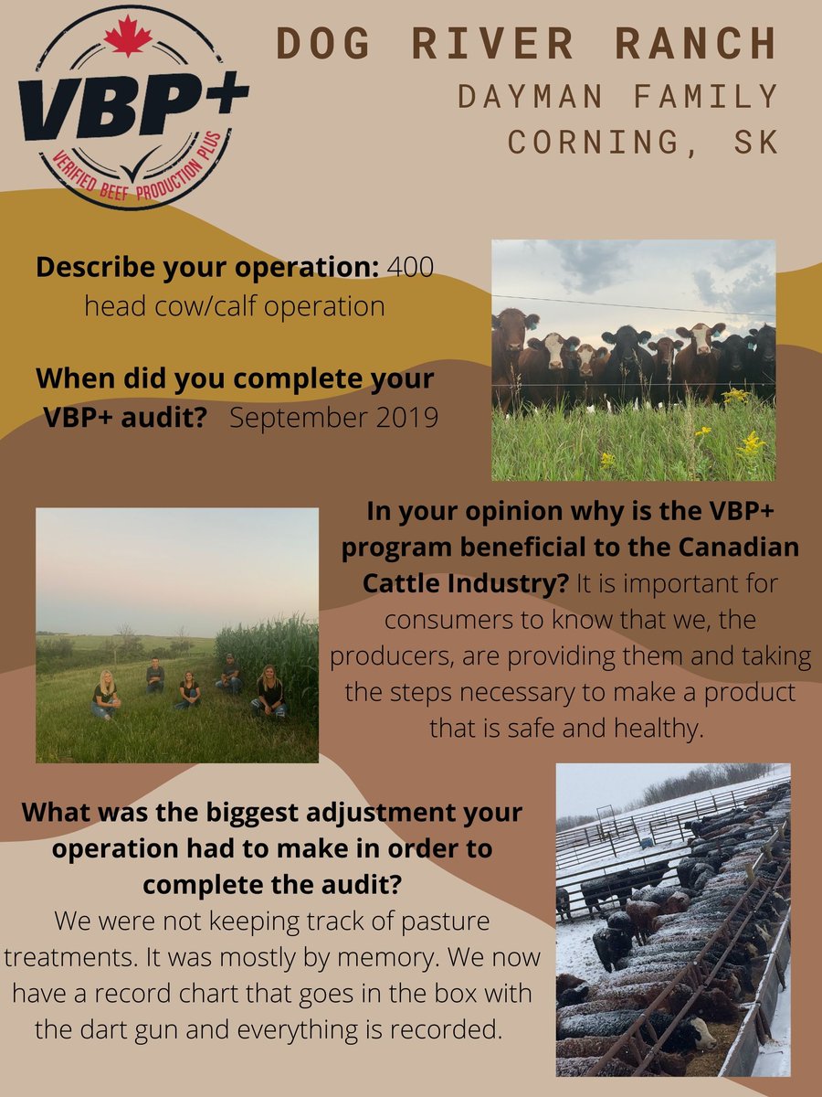 SASK VBP tweet media