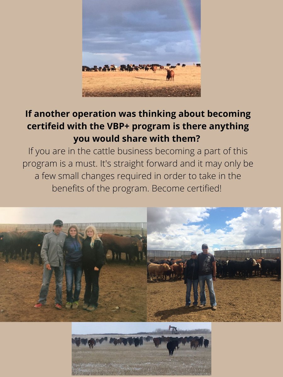 SASK VBP tweet media