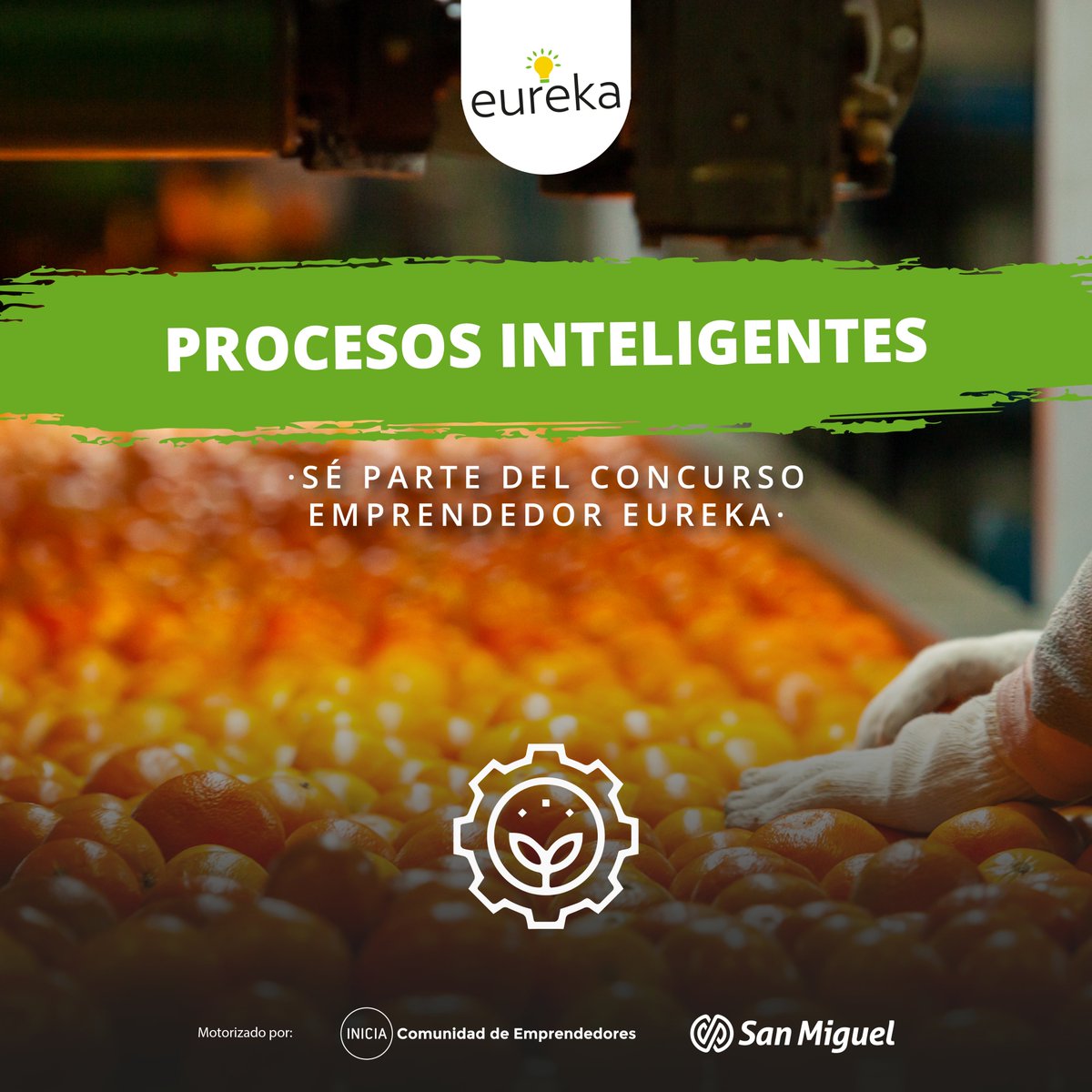 concursoeureka's tweet photo. 🍋Grandes cambios con ajustes en el proceso productivo, una automatización que pueda generar un gran impacto. Si tu proyecto apunta a hacer una diferencia en esos aspectos, inscribite ahora y ganá tu fondo semilla.

💻Para más información en https://t.co/NEGXD1hN8H https://t.co/gyLPpVNyS1