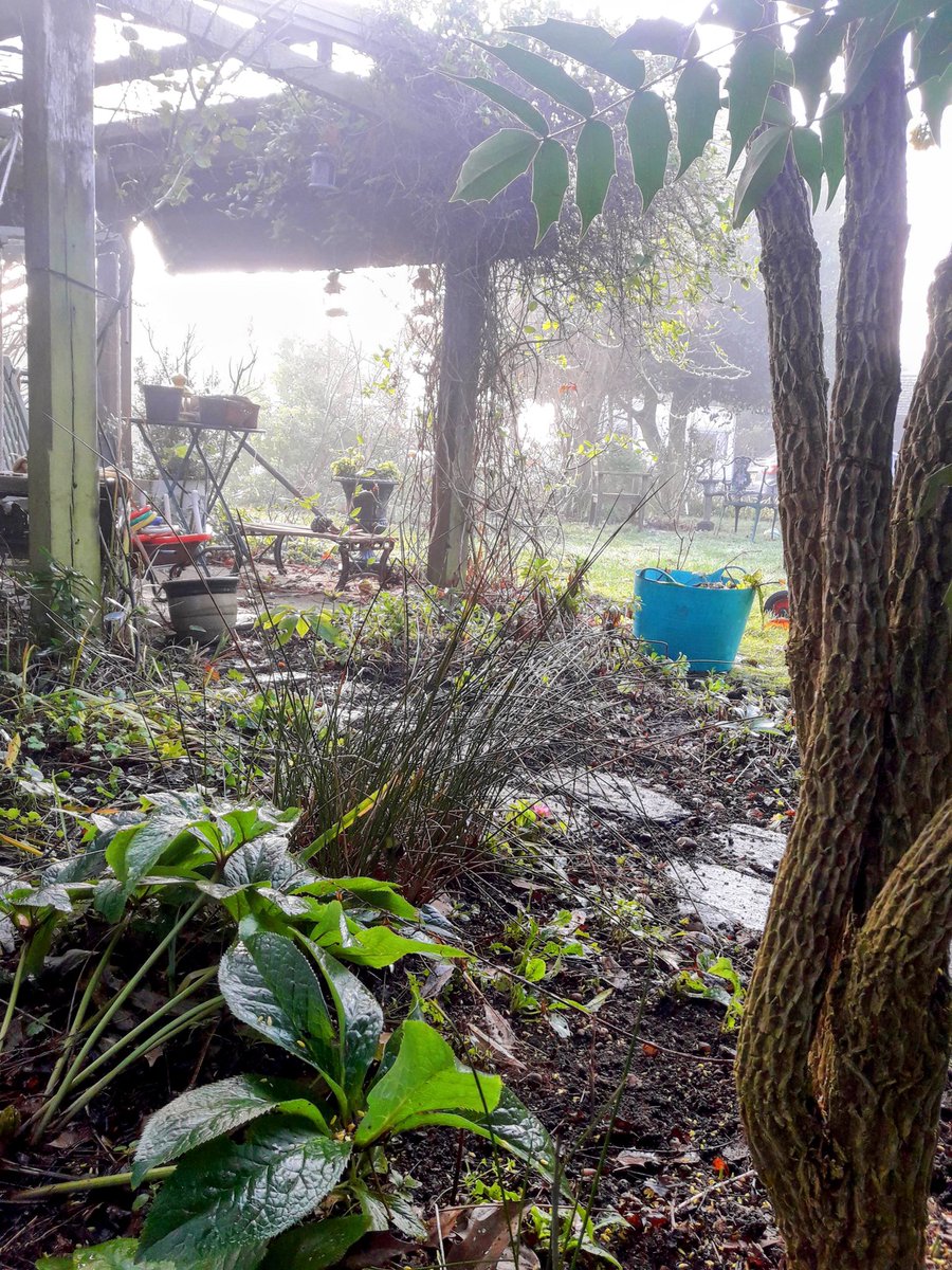 FletchHort's tweet photo. Happy (not so) New Year! 😁

Some days being a gardener is just pure joy, and spending today in a lovely rural garden as the sun blasted its way through the mist was one of those 🥰🌱 https://t.co/3WTIbEF7HP