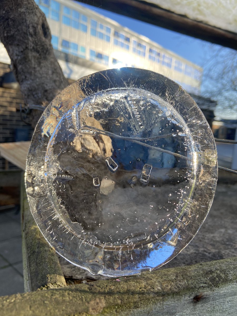 CN_garden's tweet photo. Cold and Beautiful today @CastleNewnham amazing work from @CN_SEND @MissBeethanlee @MrA_Welsh @MrGJell !! https://t.co/lhGK31tJAO