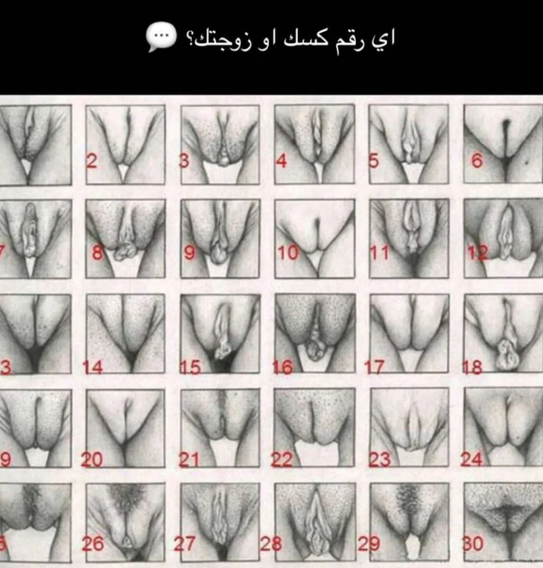 كسك انهو وكس خطبتك انهو وانتي كس صحبتك انهو