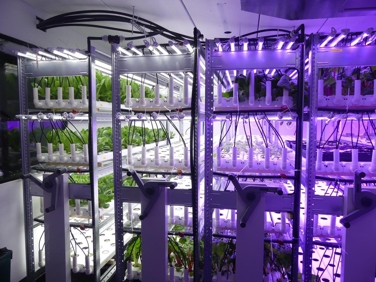 ADublanche's tweet photo. 👩🏻‍🌾🥬Visite de la ferme urbaine  @Champerche implantée au cœur du quartier des Indes à #Sartrouville

Très fière d’accompagner avec la region @iledefrance ce projet innovant d’agriculture en bioponie
➡️Culture locale, sans pesticide et distribuée en circuits courts ♻️ https://t.co/9hpBuc3U7D