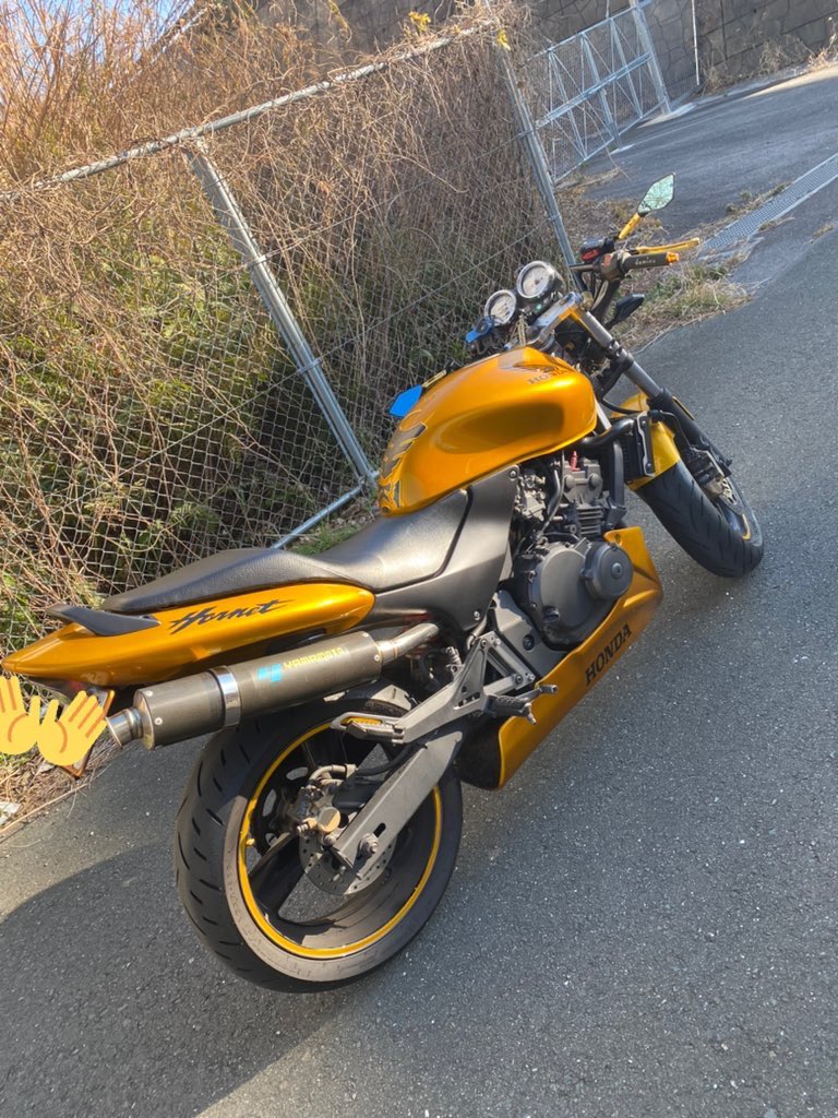 Naotin_Rider's tweet photo. 名前  :  なおちん
性別  :  男
年齢  :  20代
住み  :  愛知
愛車  :  HORNET250(キャンディ金)
好き  :  バイク
一言  :  見かけたらヤエーよろしく！

#バイク乗りとして軽く自己紹介 
#バイク乗りと繋がりたい 
#ホーネット250
#ホーネット乗りはリツイートしてくれるらしい https://t.co/Bbns5BT2nh