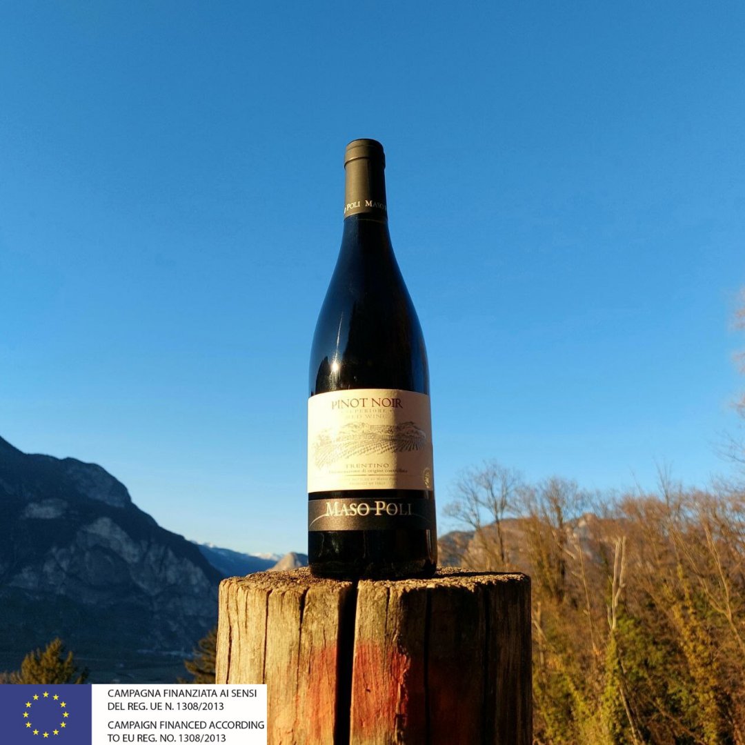 ViasWine's tweet photo. Relax, breathe deeply, pour yourself a glass of Maso Poli Pinot Noir, and enjoy your long weekend ahead! 🍷 https://t.co/ptlaamq1ua