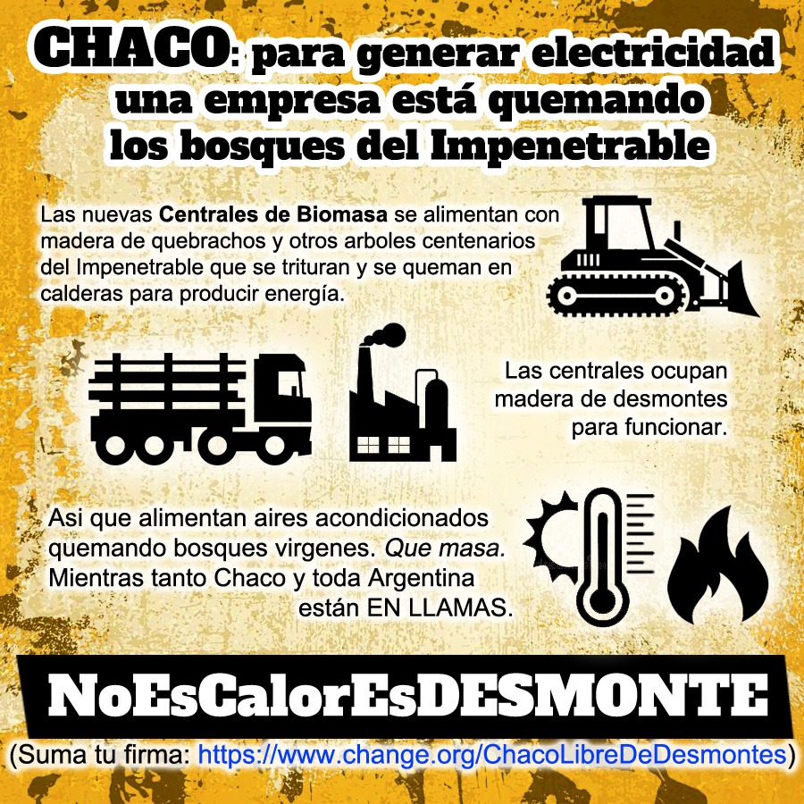 PxP_LAC's tweet photo. #DeforestacionCERO https://t.co/6vb6ILTnqm