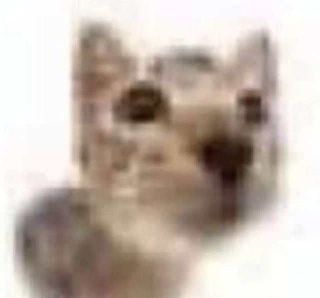 shoyo (@whoishoyo) on Twitter photo 