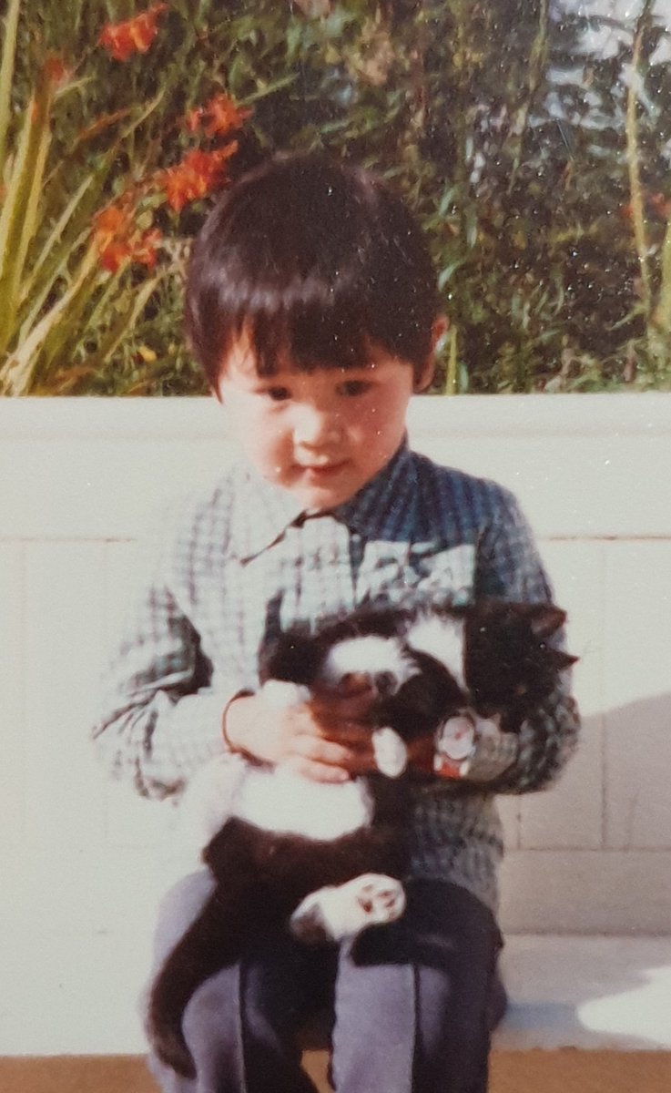 Ed Sum (he/him) 🏳️‍🌈❤🏴󠁧󠁢󠁳󠁣󠁴󠁿 tweet media