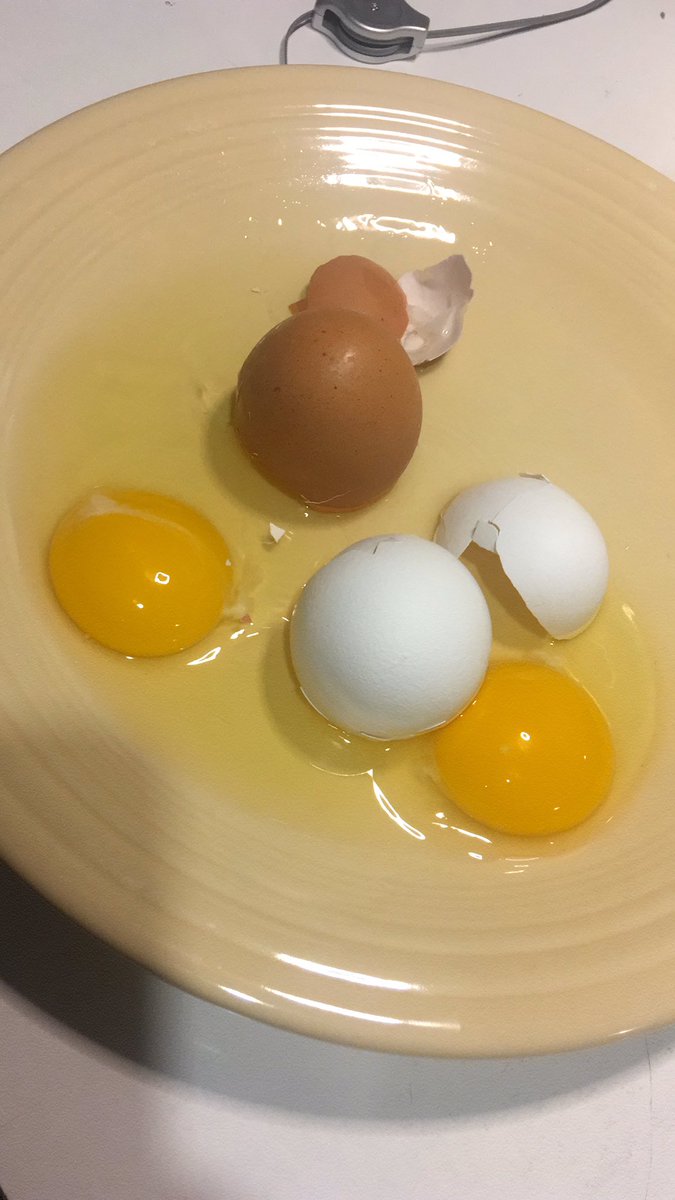miss_turon's tweet photo. Weβre Different, Weβre the Same lesson @JAdamsSchool is always a class favorite β€οΈ
π©πΌπ©π½βπ¦±π§πΏβπ¦±π§π»π¦π½π©π»βπ¦°
#missturonsclass
#JAroom14
#JAschool
#YayJA
#NJteacher
#MartinLutherKingJrDay
#MLKDay2022 https://t.co/f94AN17SoA