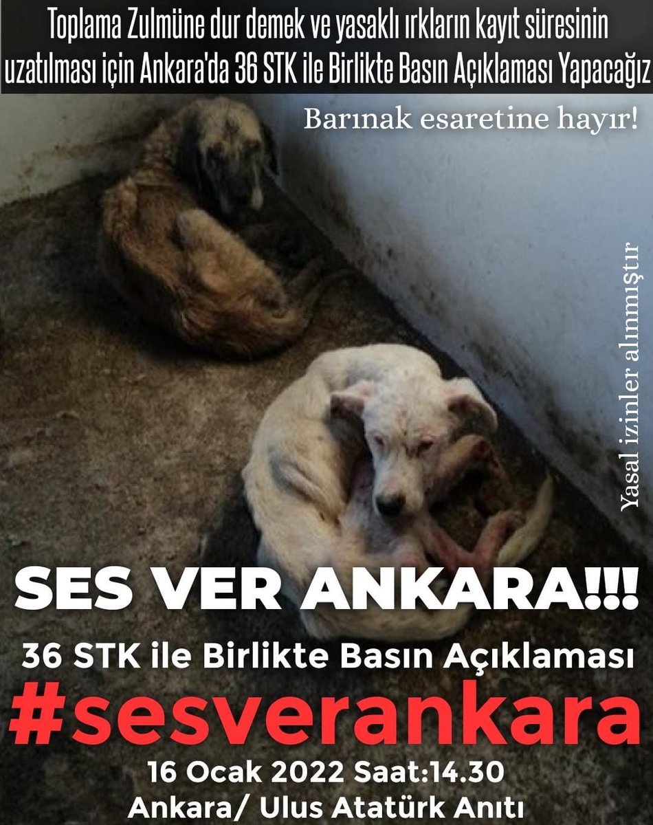 𝐇𝐢𝐥𝐚𝐥 🌙🇹🇷🇦🇱🇧🇦 tweet media