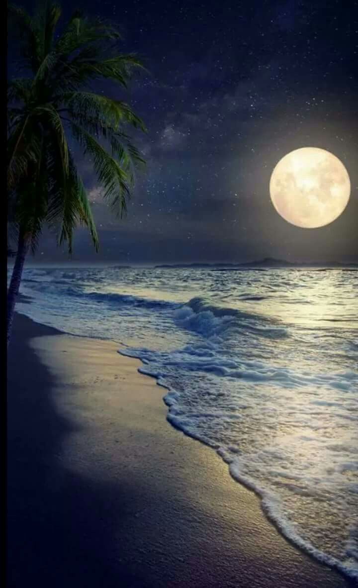 Las pasiones son peligrosas e inestables.
Los pensamientos son vagos e inasibles.
Los actos son solidos y trascedentes.
Bendiciones