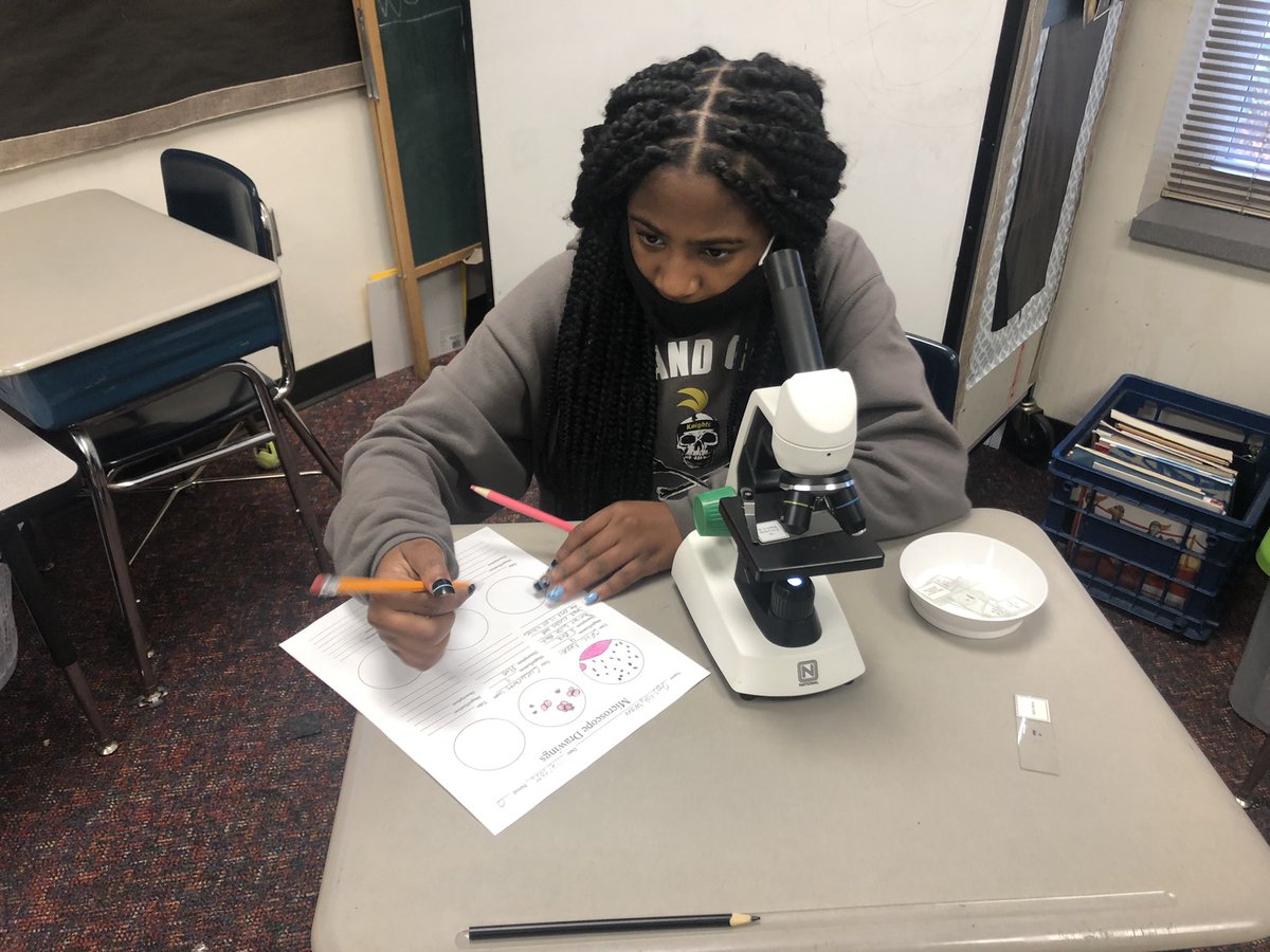 5th grade investigating and recording histology slides using microscopes. #handsonscience <a href="/DionneSturdiva1/">Dionne Sturdivant</a> <a href="/janfirst/">Janice Rickey</a> <a href="/bethannedevoid/">Elizabeth A. DeVoid</a>