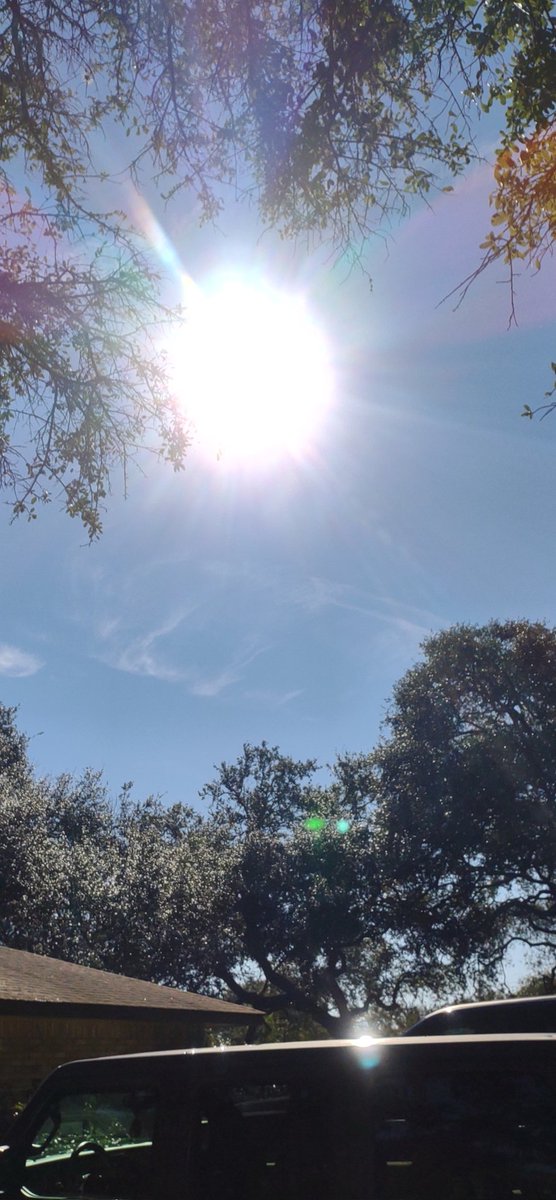 CoachTNowlin's tweet photo. Y'all see this?! 70° and sunny! Know what it means??? 
It's a beautiful day to PLAY BALL!
#softballseasonishere #MatadorSoftball #1stpractice https://t.co/dDTDkVKx9b