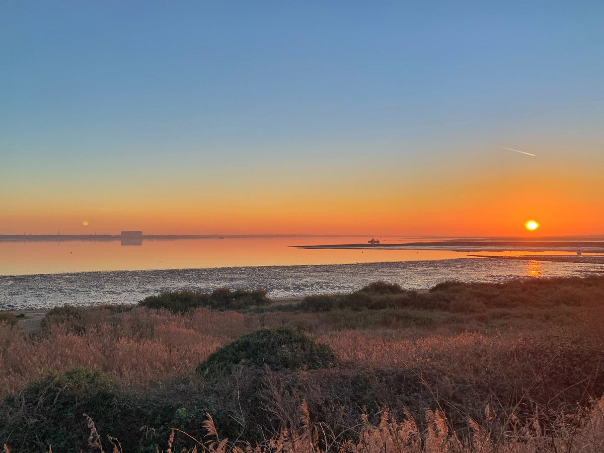 What a beautiful end to a lovely day.
Call 07791859624 to book for tomorrow #boattrip #boattrips #boattrip⛵️ #boattrippin #boattrip⚓️ #boattrip🚤 #boattripping #wildlifelovers #seasideview #thingstodowithkids #ThingsToDoWithKids #thingstodo #weekend #weekendaway #weekendgetaway