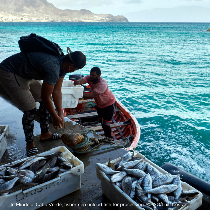 WorldBankGroup's tweet photo. How can we help to reduce overfishing in coastal fisheries in #CaboVerde, #Ecuador, #Indonesia, or #Peru? 

Apply to the #SolutionsToOverfishing competition today and share your innovative ideas. 

Deadline: February 27, 2022.