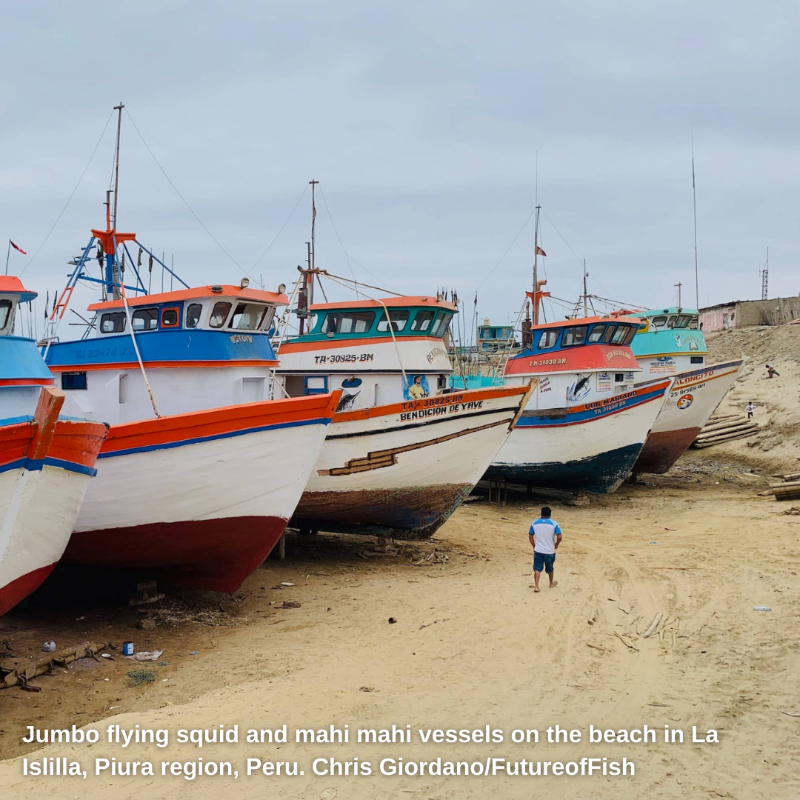 WorldBankGroup's tweet photo. How can we help to reduce overfishing in coastal fisheries in #CaboVerde, #Ecuador, #Indonesia, or #Peru? 

Apply to the #SolutionsToOverfishing competition today and share your innovative ideas. 

Deadline: February 27, 2022.