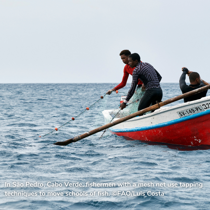 WorldBankGroup's tweet photo. How can we help to reduce overfishing in coastal fisheries in #CaboVerde, #Ecuador, #Indonesia, or #Peru? 

Apply to the #SolutionsToOverfishing competition today and share your innovative ideas. 

Deadline: February 27, 2022.