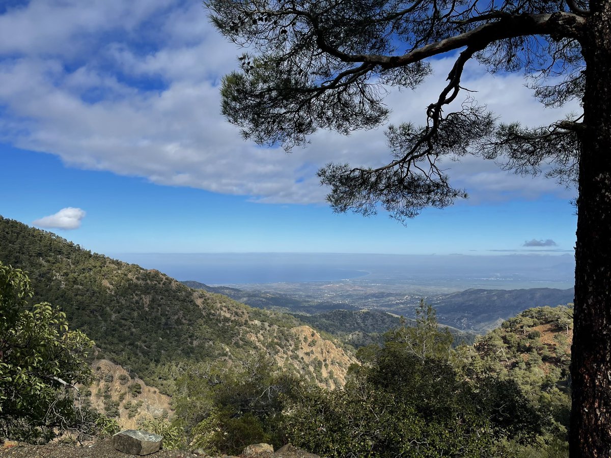 eevriviades's tweet photo. Morphou bay today in the northern Turkish occupied part of Cyprus. View on the way to Mount Olympus, Troodos … 

#Cyprus #visitCyprus #beautifulCyprus #Morphou #RightOfReturn https://t.co/mA9k05fTm8