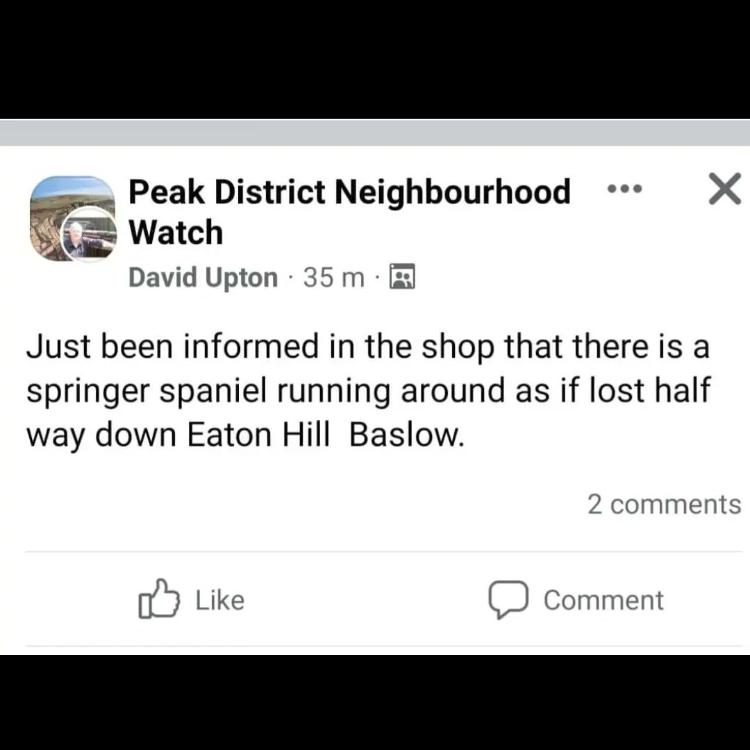 Good evening everyone, we are trying to gain further information in the Baslow/Bakewell area for this spaniel. Hoping to gain a more understanding what this pup looks like and if he/she is okay in general. Please help us spread awareness that way.  #findscrappy #bringscrappyhome