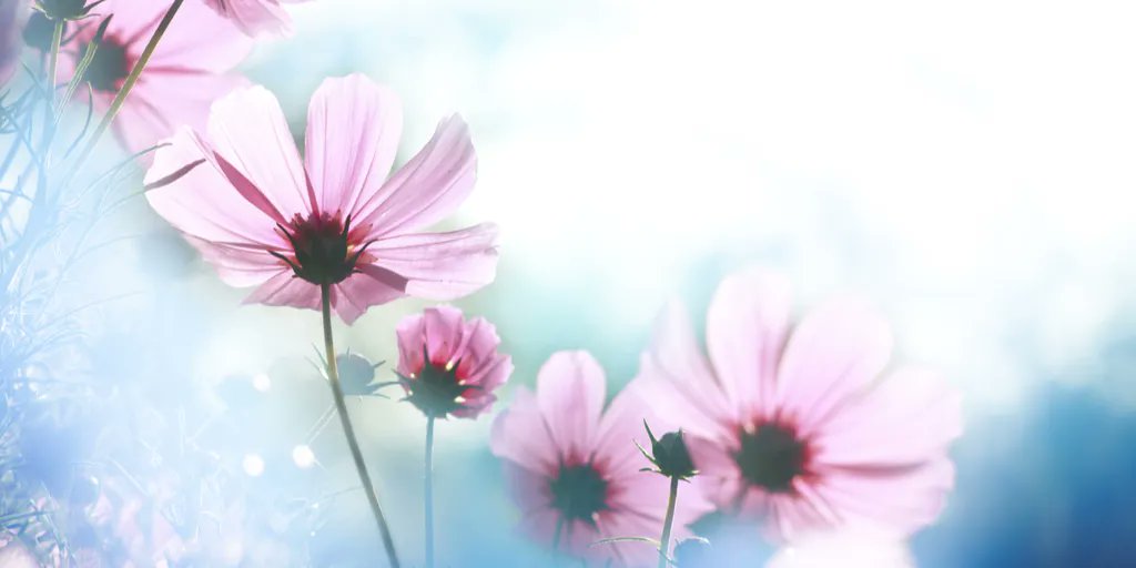 LornaByrne's tweet photo. Remember, God has created everything down to the tiniest little particle. So, if you love anything and you’ve allowed your soul to come forward because you love something, of course it will be in Heaven as well.
Blessings Lorna
#godcreatedeverything #godscreations #loveall https://t.co/ddPGn6vyhp