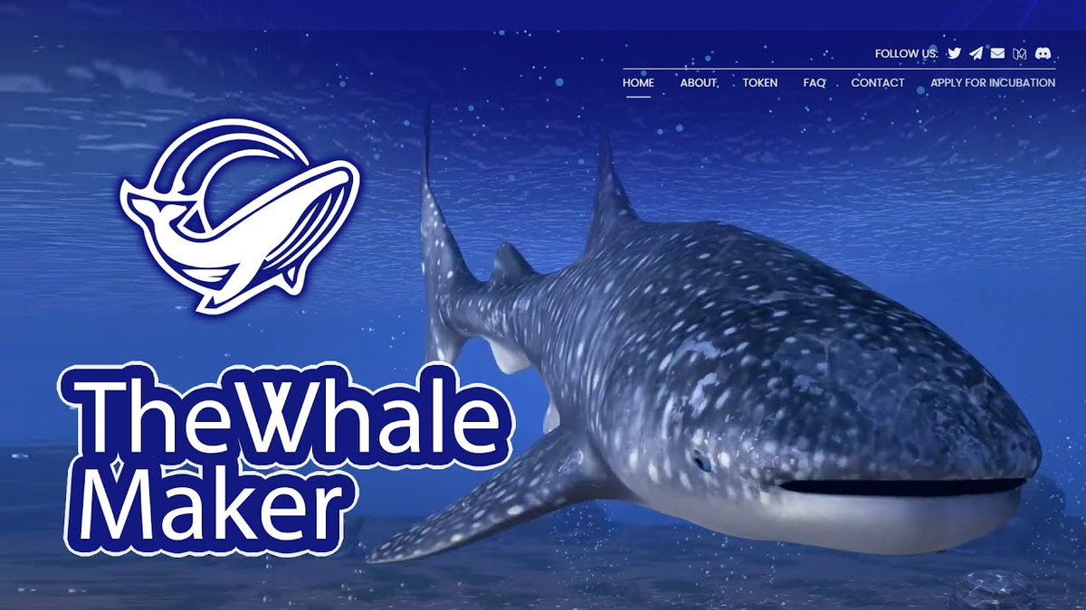 There are currently $10B+ in assets under #DAO management

#Web3 - #DeFi - #Metaverse - #GameFi - #NFTs - #P2E 

💥We invest in of all of these

🐳Apply to join us*: bit.ly/3Kc6KpG

*a limited number of applicants will be accepted

#ThePodDAO
-
#NFTinvestor #NFT #NFTart