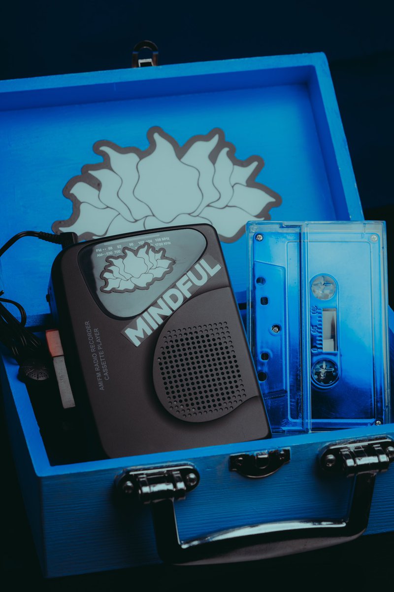 ChiefDVB's tweet image. ARCTIC EMBERZ OUT NOW

🚨BOX SETS SOLD OUT🚨

VERY VERY FEW CASSETTES LEFT