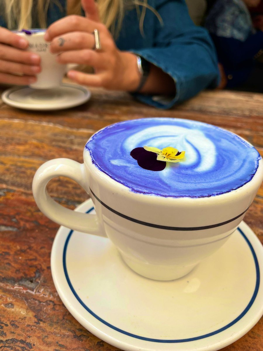 mahoney_magic's tweet photo. GM 🌐 🍵 you frothed ? @wearefrothy 

#bluematcha for the flower fairies in the haus https://t.co/ViizveH7Rq