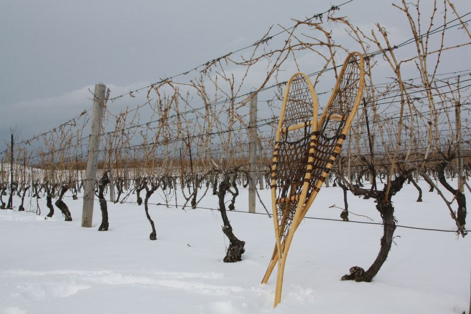 Delta Grand Okanagan (@deltagrandhotel) on Twitter photo FEATURE FRIDAY
Slip & Sip Winter Winery Tour!
Did you know <a href="/TheViewWinery/">The View Winery</a> offers a picturesque snowshoe or stroll through The View's orchards and vines followed by a decadent cheese and chocolate, wine paired fondue? FEATURE FRIDAY
Slip & Sip Winter Winery Tour!
Did you know <a href="/TheViewWinery/">The View Winery</a> offers a picturesque snowshoe or stroll through The View's orchards and vines followed by a decadent cheese and chocolate, wine paired fondue?