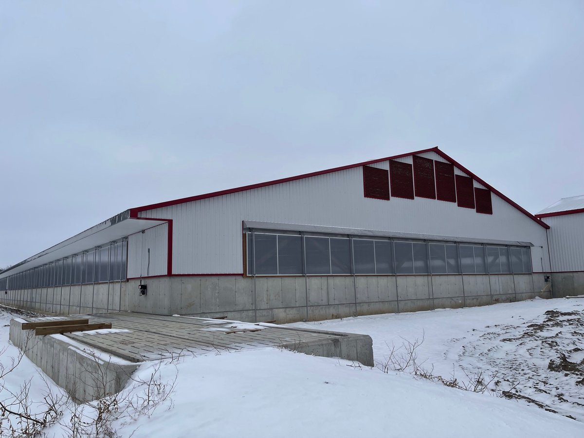 SunNorthSystems's tweet photo. Check out this Nova-Lite XL panel install (54" panels with exterior belt drives) on this hog finishing barn in Southern Ontario!
#OntAg #CdnAg #hog #hogbarn #hogfinishing #barnventilation #morethanjustcurtains #sunnorth https://t.co/xH9Mn0wcC5