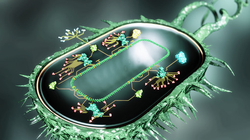 Mario di Bernardo (@mdiberna) on Twitter photo Discover how cells can self-regulate their own growth in our work with <a href="/Vi_Fusco/">Virginia Fusco</a> <a href="/dvd_fiore/">Davide Fiore</a> <a href="/DavideSalzano94/">Davide Salzano</a>
👉 tinyurl.com/3y8wfmfz Discover how cells can self-regulate their own growth in our work with <a href="/Vi_Fusco/">Virginia Fusco</a> <a href="/dvd_fiore/">Davide Fiore</a> <a href="/DavideSalzano94/">Davide Salzano</a>
👉 tinyurl.com/3y8wfmfz