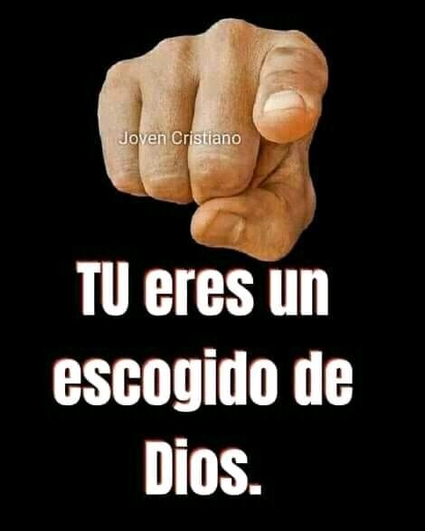 AwildaLlanos4's tweet photo. @alejandrochaban SANTOOOOOO ERES JEHOVÁ🙏🙏🙏🙏🙏🙏🙏🙏 https://t.co/D3p0Y6h2kr