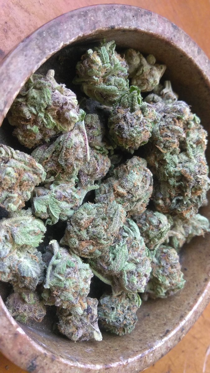 HAVE A GREAT WEEKEND EVERYONE!!! HAPPY FRIDAY!!! White Widow... SMOKE TIME!!! 💨✌️