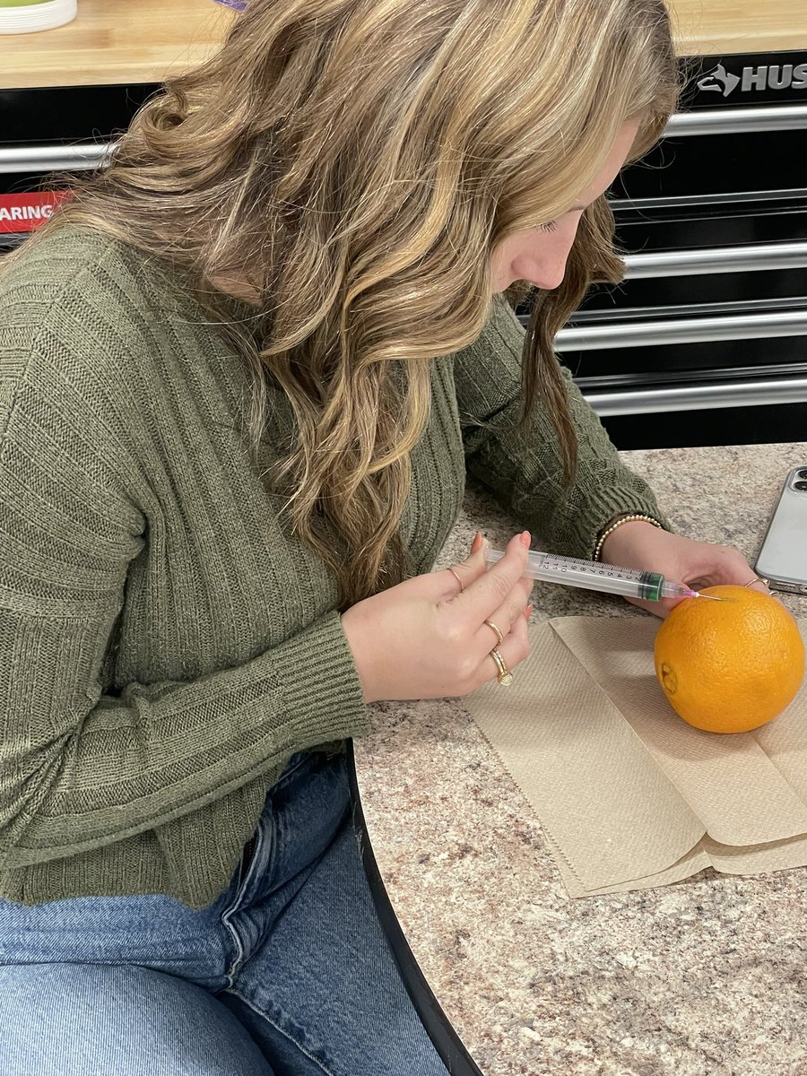 MRobsAg's tweet photo. It’s SHOTS day in Vet Med! The Vet Med students practiced the different routes of drug administration on bananas and oranges! #LCHSag #handsonlearning #futurevetinterns https://t.co/TGHAumKmgr