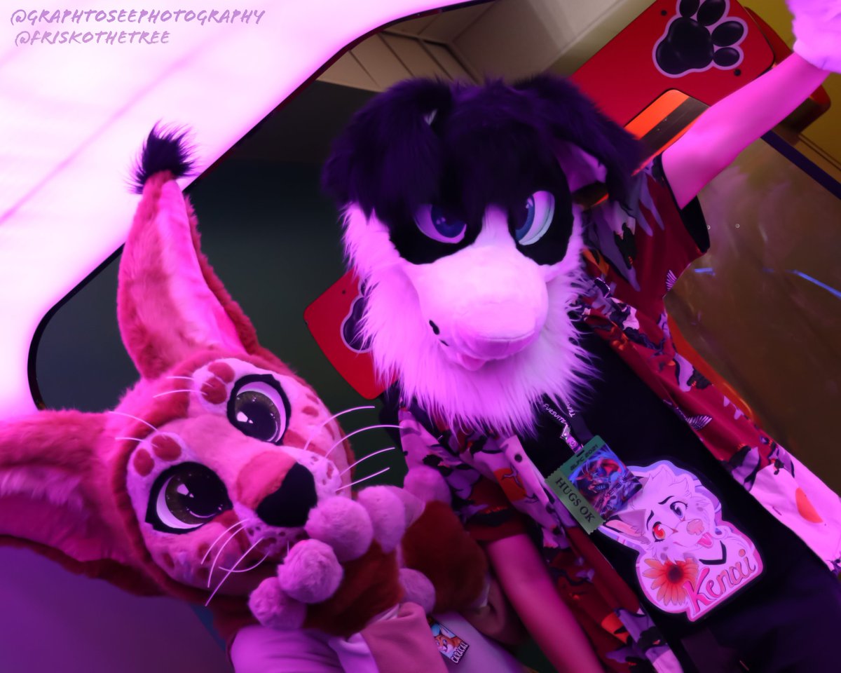 FriskoTheTree's tweet photo. Lookin hawt and dangerous this #FursuitFriday! 🔥 @kenaidoq
~
#BLFC21 #BLFC2021 #BLFC #BiggestLittleFurCon2021
#BiggestLittleFurCon #FriskoTheTree #Frisko #DazyChainCreations #Fursuiting #FursuitsPlz #FursuitPlz #Fursuit #Fursuits #Arcade #GraphToSeePhotography https://t.co/R0OnyILPxI