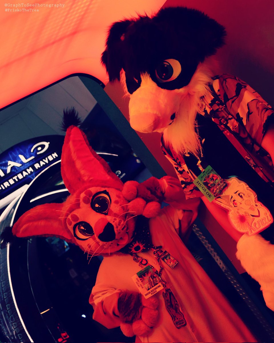 FriskoTheTree's tweet photo. Lookin hawt and dangerous this #FursuitFriday! 🔥 @kenaidoq
~
#BLFC21 #BLFC2021 #BLFC #BiggestLittleFurCon2021
#BiggestLittleFurCon #FriskoTheTree #Frisko #DazyChainCreations #Fursuiting #FursuitsPlz #FursuitPlz #Fursuit #Fursuits #Arcade #GraphToSeePhotography https://t.co/R0OnyILPxI
