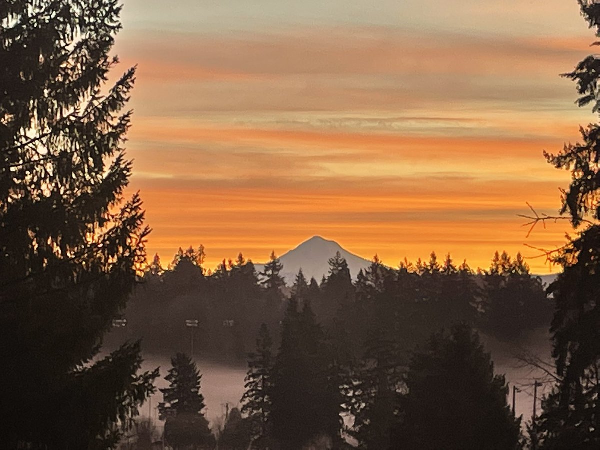 Fishing with Kids tweet media