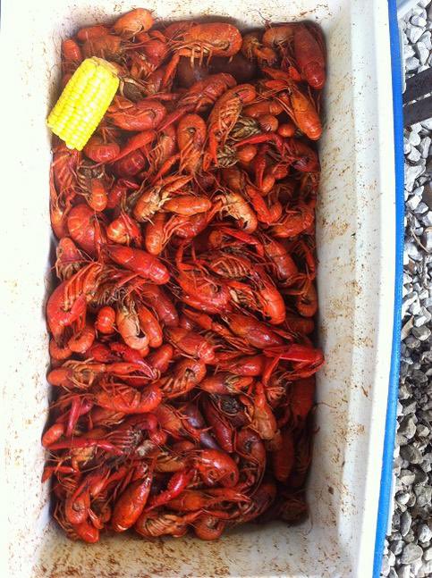 opening weekend means A NEW CONTEST!!!! Must follow &amp; retweet this for a chance to win 5 POUNDS OF CRAWFISH, 2 CORN, 2 POTATOES. This will be a random drawing &amp; the winner will be announced January 27th!!!!