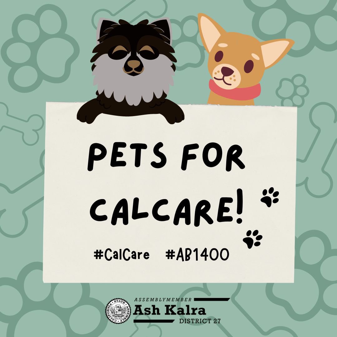 Ash_Kalra's tweet photo. Let’s give a round-of-a-paws for healthcare for all! It’s National Dress Up Your Pet Day, so, dress up your pet and let’s see their support for #CalCare #ab1400 ❤️ 
#DressUpYourPetDay https://t.co/hD8XHutwaU