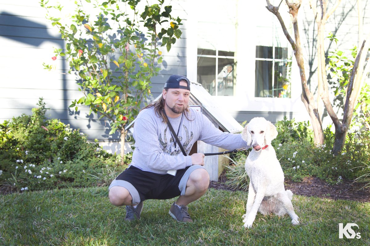 K9s For Warriors tweet media