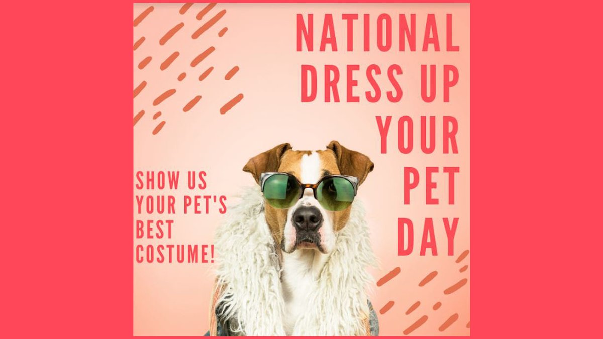 LT_Academy's tweet photo. Tag us in all of your cutest dressed up pets post for us to repost!
.
National Dress Up Your Pet Day 2022
.
#nationaldressupyourpetsday #lifetimeacademy #ltacademy #lifetimeoflearning https://t.co/XsU5zNUIYc